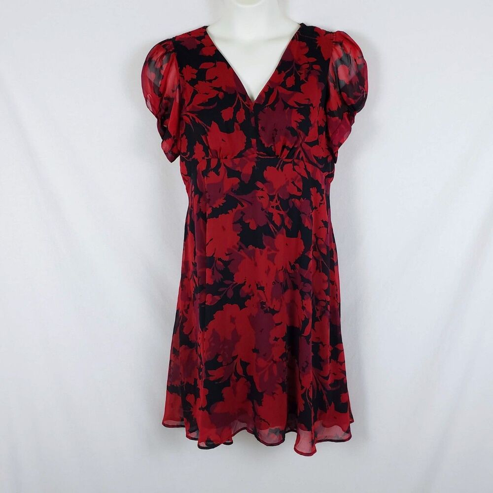Calvin Klein Dark Romantic Whimsigoth Chiffon Dress Womens 14 Red Floral